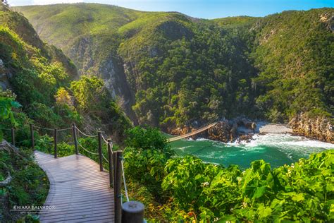 Der Tsitsikamma-Nationalpark: Ein tropisches Paradies für Abenteurer!